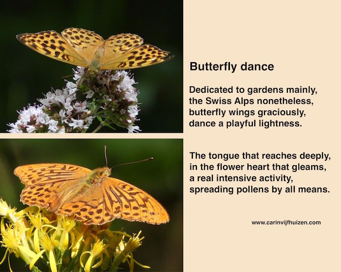 Butterfly dance